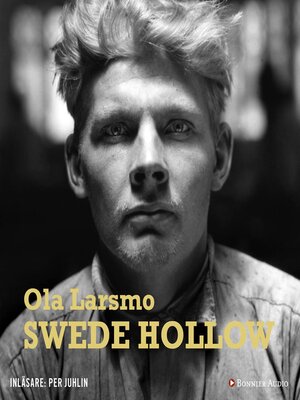 cover image of Swede Hollow